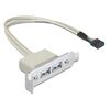 DELOCK ΚΆΡΤΑ ΕΠΈΚΤΑΣΗΣ USB 9 PIN ΣΕ 2X USB 2.0 83119, LOW PROFILE