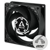 ARCTIC P8 PWM PST CASE FAN - 80MM CASE FAN WITH PWM CONTROL AND PST CABLE