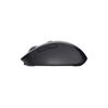 MOUSE WRL TRUST OZAA COMPACT 24819