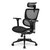 SHARKOON ΚΑΡΈΚΛΑ OFFICEPAL C40 ΜΑΎΡΗ (41411) (SHR41411)