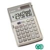 CANON LS-10TEG CALCULATOR (4422B002AB) (CANLS10TEG)