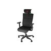 GENESIS ERGONOMIC CHAIR ASTAT 700 G2 BLACK (NFG-1945) (GNSNFG-1945)