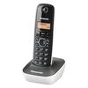 ΑΣΎΡΜΑΤΟ ΤΗΛΈΦΩΝΟ PANASONIC KX-TG1611GRW BLACK-WHITE (KX-TG1611GRW) (PANKXTG1611GRW)