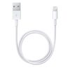 APPLE ΚΑΛΏΔΙΟ ΣΎΝΔΕΣΗΣ LIGHTINING-USB ΛΕΥΚΌ 1M (MD818ZM/A) (APPMD818ZM/A)