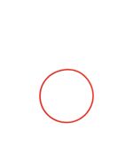 OLYMPUS POL-058 O-RING FOR PT-058 / PT-059