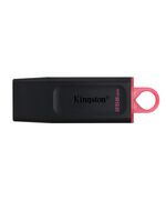 KINGSTON USB FLASH DTX/256GB