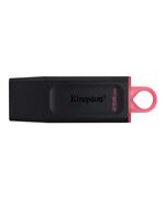 KINGSTON USB FLASH DTX/256GB