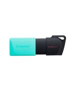 KINGSTON USB FLASH DTXM/256GB