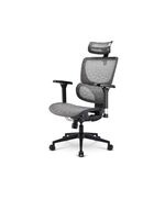 SHARKOON ΚΑΡΈΚΛΑ OFFICEPAL C40M ΜΑΎΡΗ (41428) (SHR41428)