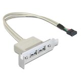 DELOCK ΚΆΡΤΑ ΕΠΈΚΤΑΣΗΣ USB 9 PIN ΣΕ 2X USB 2.0 83119, LOW PROFILE
