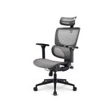 SHARKOON ΚΑΡΈΚΛΑ OFFICEPAL C40M ΜΑΎΡΗ (41428) (SHR41428)