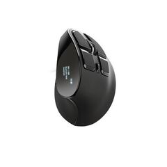 MOUSE WRLS TRUST VOXX ERGO DISPLAY 23731