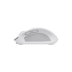 MOUSE WRL TRUST OZAA COMPACT WH 24933