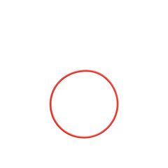 OLYMPUS POL-058 O-RING FOR PT-058 / PT-059