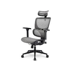 SHARKOON ΚΑΡΈΚΛΑ OFFICEPAL C40M ΜΑΎΡΗ (41428) (SHR41428)