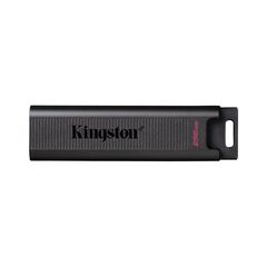 USB FLASH KINGSTON 256GB DATATRAV MAX