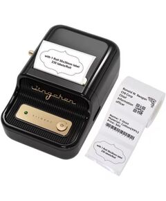 NIIMBOT B21 PORTABLE LABEL PRINTER BLACK (B21) (NIIB21)
