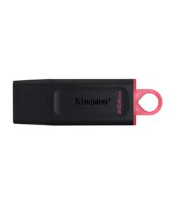 KINGSTON USB FLASH DTX/256GB