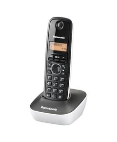 ΑΣΎΡΜΑΤΟ ΤΗΛΈΦΩΝΟ PANASONIC KX-TG1611GRW BLACK-WHITE (KX-TG1611GRW) (PANKXTG1611GRW)