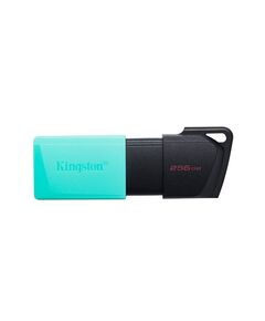 KINGSTON USB FLASH DTXM/256GB