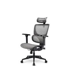 SHARKOON ΚΑΡΈΚΛΑ OFFICEPAL C40M ΜΑΎΡΗ (41428) (SHR41428)