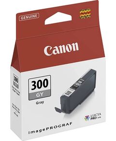 CANON PFI-300 ΜΕΛΆΝΙ ΕΚΤΥΠΩΤΉ INKJET ΓΚΡΙ (4200C001) (CANPFI-300GY)