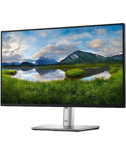 DELL P2425H FHD 100HZ IPS MONITOR 24" (210-BMFF) (DELP2425H)