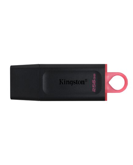 KINGSTON USB FLASH DTX/256GB
