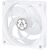 ARCTIC P14 PWM (WHITE/TRANSPARENT) - 140MM PRESSURE OPTIMIZED CASE FAN