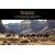 ULEFONE SMARTPHONE ARMOR 27, 6.78", 12/256GB, 10600MAH, IP68/IP69K, ΜΑΎΡΟ