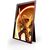 AOC 16G3 AGON GAMING PORTABLE MONITOR 16' WITH SPEAKERS (AOC16G3)
