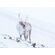 OLYMPUS 40-150MM 1:2.8 PRO BLACK M.ZUIKO DIGITAL (EZ-M4015PRO) LENSE MICRO FT