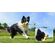 INSTA360 GO 3 FETCH STICK