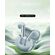 QCY AILYBUDS PRO SEMI-EAR ANC TWS GREEN 6 MIC & A.I. NOISE CANCEL. A.I. AUDIO ULTRA HD MULTI-POINT