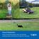 TP-LINK OUTDOOR PAN/TILT 4G LTE CAMERA TAPO C501GW