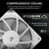CORSAIR FAN RS120 SINGLE PACK WHT